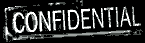 Author Biography